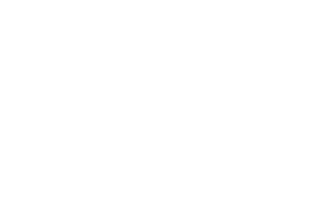 destovka-logo-bila-01