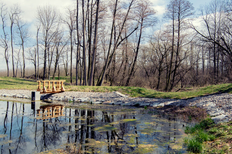 Ilustrační obrázek